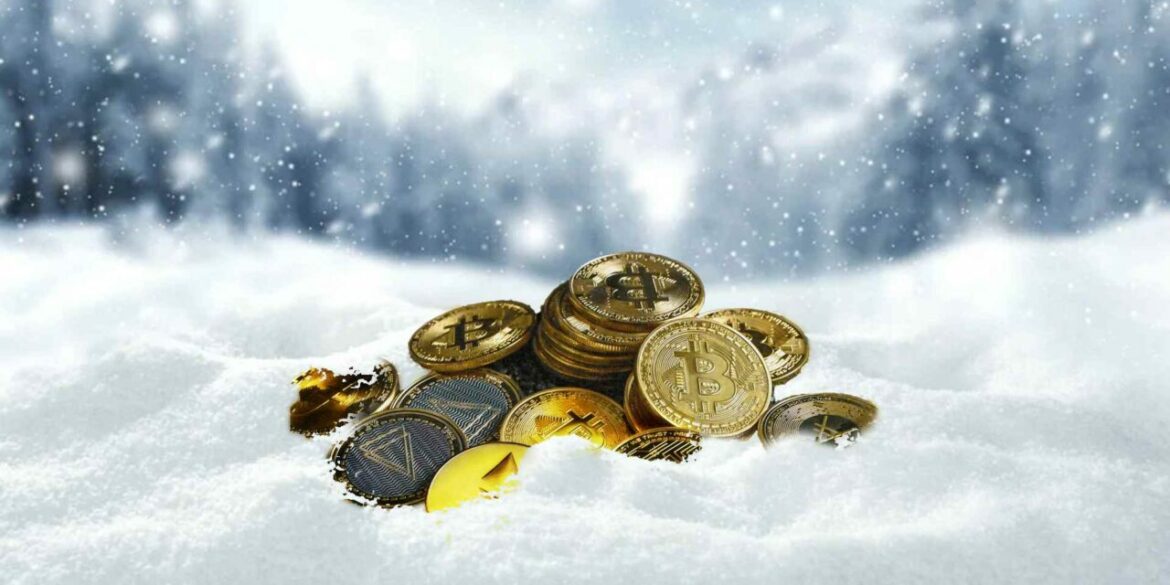 “Exploring the Reasons Behind the Persistence of the Crypto Winter and the Presence of Scammers in the Market”